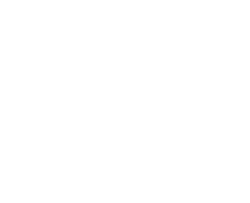 Distortion Forge Logo